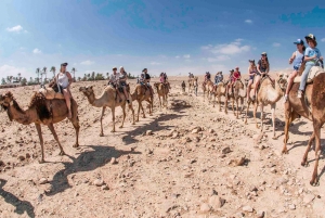 De Marrakech: Excursão de 2 dias ao Deserto de Zagora