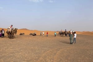 From Marrakech: Tour 3-Day To Fez Via-Desert Merzouga