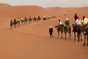 From Marrakech: Tour 3-Day To Fez Via-Desert Merzouga