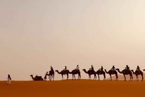 From Marrakech: Tour 3-Day To Fez Via-Desert Merzouga