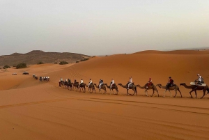 Från Marrakech: Tour 5-dagars äventyr till öknen Merzouga