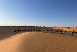 Från Marrakech: Tour 5-dagars äventyr till öknen Merzouga