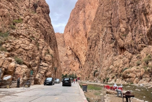 Fra Marrakech: 5-dagers tur til Merzouga-ørkenen