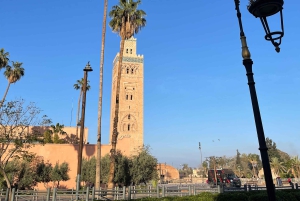 Fra Marrakech: 5-dagers tur til Merzouga-ørkenen