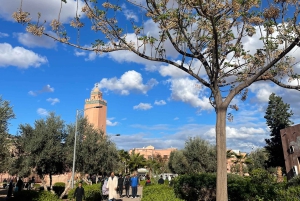 Fra Marrakech: 5-dagers tur til Merzouga-ørkenen