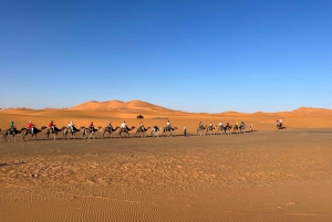 Fra Marrakech: 5-dagers tur til Merzouga-ørkenen