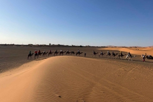 Fra Marrakech: 5-dagers tur til Merzouga-ørkenen
