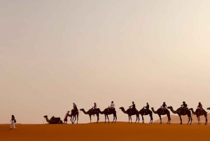 Fra Marrakech: 5-dagers tur til Merzouga-ørkenen