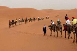 Fra Marrakech: 5-dagers tur til Merzouga-ørkenen