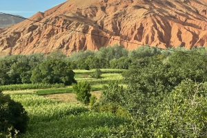 Fra Marrakech: 5-dagers tur til Merzouga-ørkenen