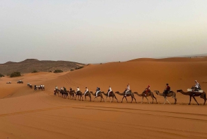 Fra Marrakech: 5-dagers tur til Merzouga-ørkenen