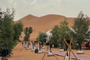 Fra Marrakech: 5-dagers tur til Merzouga-ørkenen