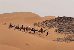 Fra Marrakech: 5-dagers tur til Merzouga-ørkenen