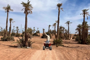 Desde Marrakech Tours: 2 horas de aventura en quad por el desierto