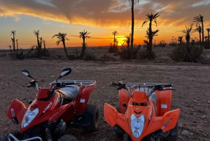 Desde Marrakech Tours: 2 horas de aventura en quad por el desierto