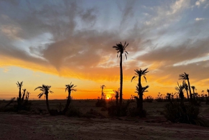 Desde Marrakech Tours: 2 horas de aventura en quad por el desierto