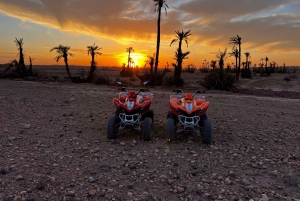 Desde Marrakech Tours: 2 horas de aventura en quad por el desierto