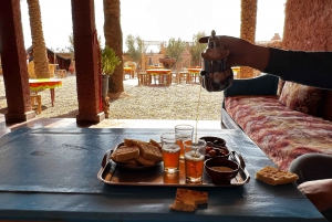 Desde Marrakech Tours: 2 horas de aventura en quad por el desierto