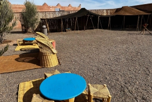 Desde Marrakech Tours: 2 horas de aventura en quad por el desierto