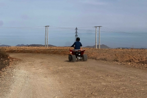 Desde Marrakech Tours: 2 horas de aventura en quad por el desierto
