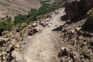 Z Marrakeszu: Trekking w górach Atlas 2 dni