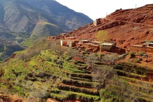 Z Marrakeszu: Trekking w górach Atlas 2 dni