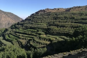 Z Marrakeszu: Trekking w górach Atlas 2 dni