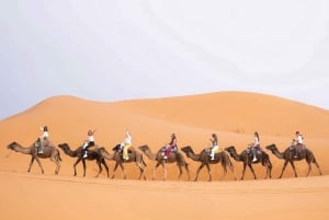 Marrakechista: Unohtumaton 3 päivän aavikkoretki Fesiin.