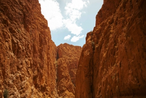 Fra Marrakech: Uforglemmelig 3-dagers ørkentur til Fes