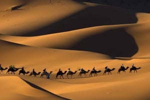 Au départ de Marrakech : Inoubliable excursion de 3 jours dans le désert à Fès