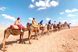Agafay Desert Package, Quad Bike, Camel Ride and Dinner Show