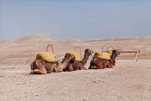 Agafay Desert Package, Quad Bike, Camel Ride and Dinner Show