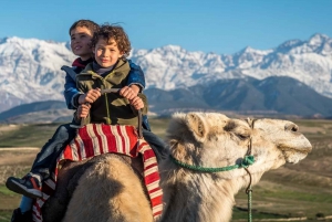 Agafay Desert Package, Quad Bike, Camel Ride and Dinner Show