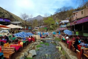 Из Марракеша: однодневная поездка в долину Урика и Атласские горы