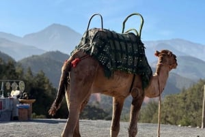 Из Марракеша: однодневная поездка в долину Урика и Атласские горы