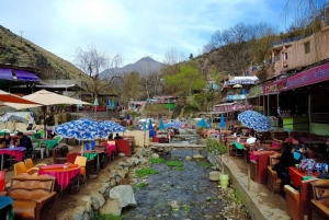 Из Марракеша: однодневная поездка в долину Урика и Атласские горы