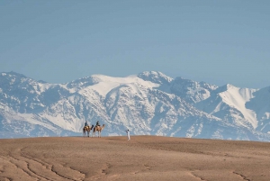 Desde Marrakech: Experiencia VIP en camello en el desierto y el oasis de Agafay