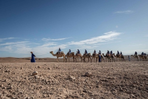 Desde Marrakech: Experiencia VIP en camello en el desierto y el oasis de Agafay