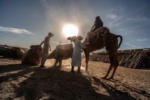 Desde Marrakech: Experiencia VIP en camello en el desierto y el oasis de Agafay
