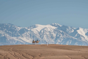 From Marrakech: VIP Agafay Desert & Oasis Camel Experience