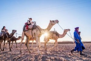 De Marrakech: Safári no deserto de Zagora de 2 dias com alimentação e acampamento