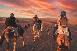 From Marrakech: Zagora 2-Day Desert Safari with Food & Camp