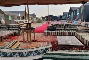 From Marrakech: Zagora 2-Day Desert Safari with Food & Camp