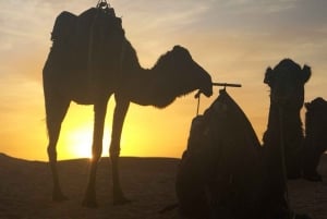 Marrakech: 2-Day Private Zagora Desert Tour with Camel Ride