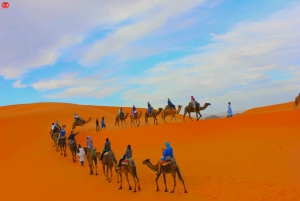 From Marrakesh: 2-Day Desert Zagoura Tour