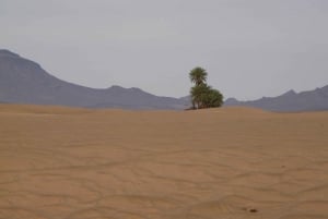 Z Marrakeszu: 2-dniowa wycieczka po pustyni Zagoura