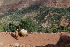 From Marrakesh: 2-Day Mount Toubkal Trek