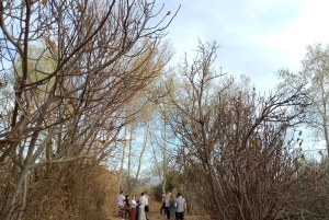 Marrakeshista: 2 päivää Ait-Benhaddouhun ja Dadesin laaksoon