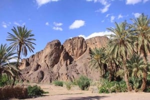 Von Marrakesch: 2-tägige Wanderung nach Ait-Benhaddou und Ouarzazate