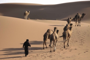 De Marraquexe: Excursões Erg Chegaga Désert de 3 dias